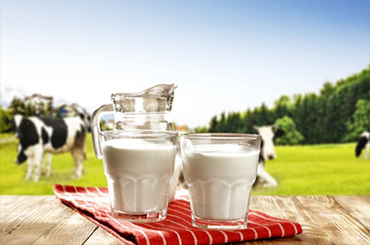 مخاطرات شیر حاوی آنتی بیوتیک برای انسان