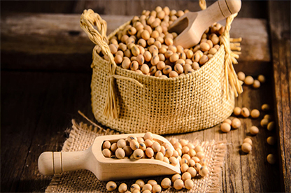 نگاهی به پیشینه تولید دانه سویا در جهان